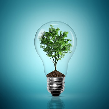Light bulb